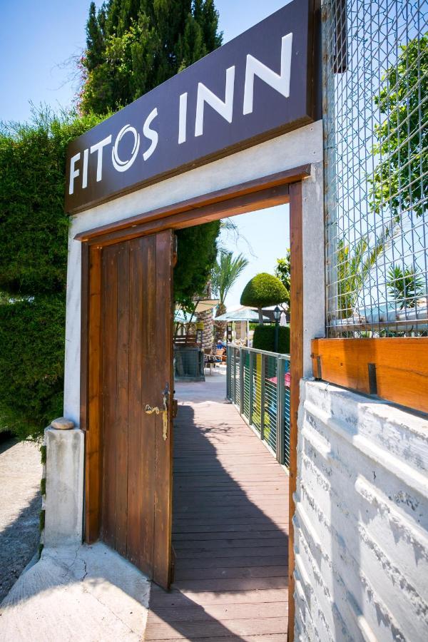 Fitosinn Hotel Geroskipou Exteriör bild